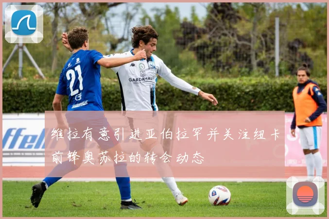 维拉有意引进亚伯拉罕并关注纽卡前锋奥苏拉的转会动态